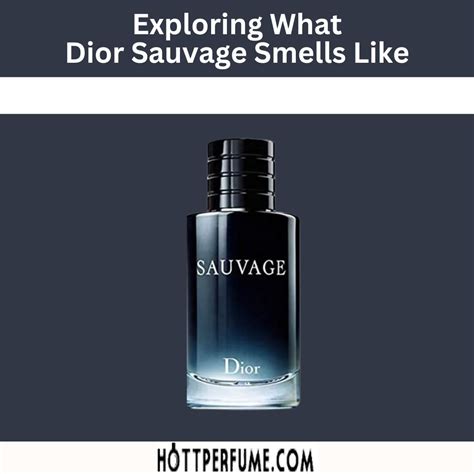 unisex dior sauvage|dior sauvage smells like.